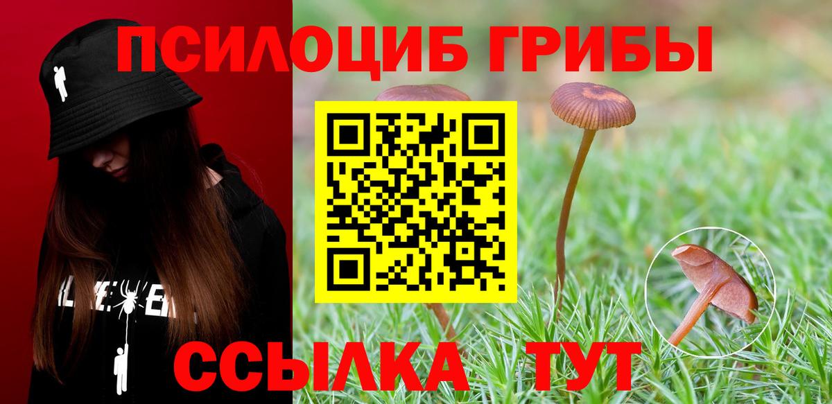 Кувандык  купить   Вход с VPN  Галлюциногенные грибы мицелий 